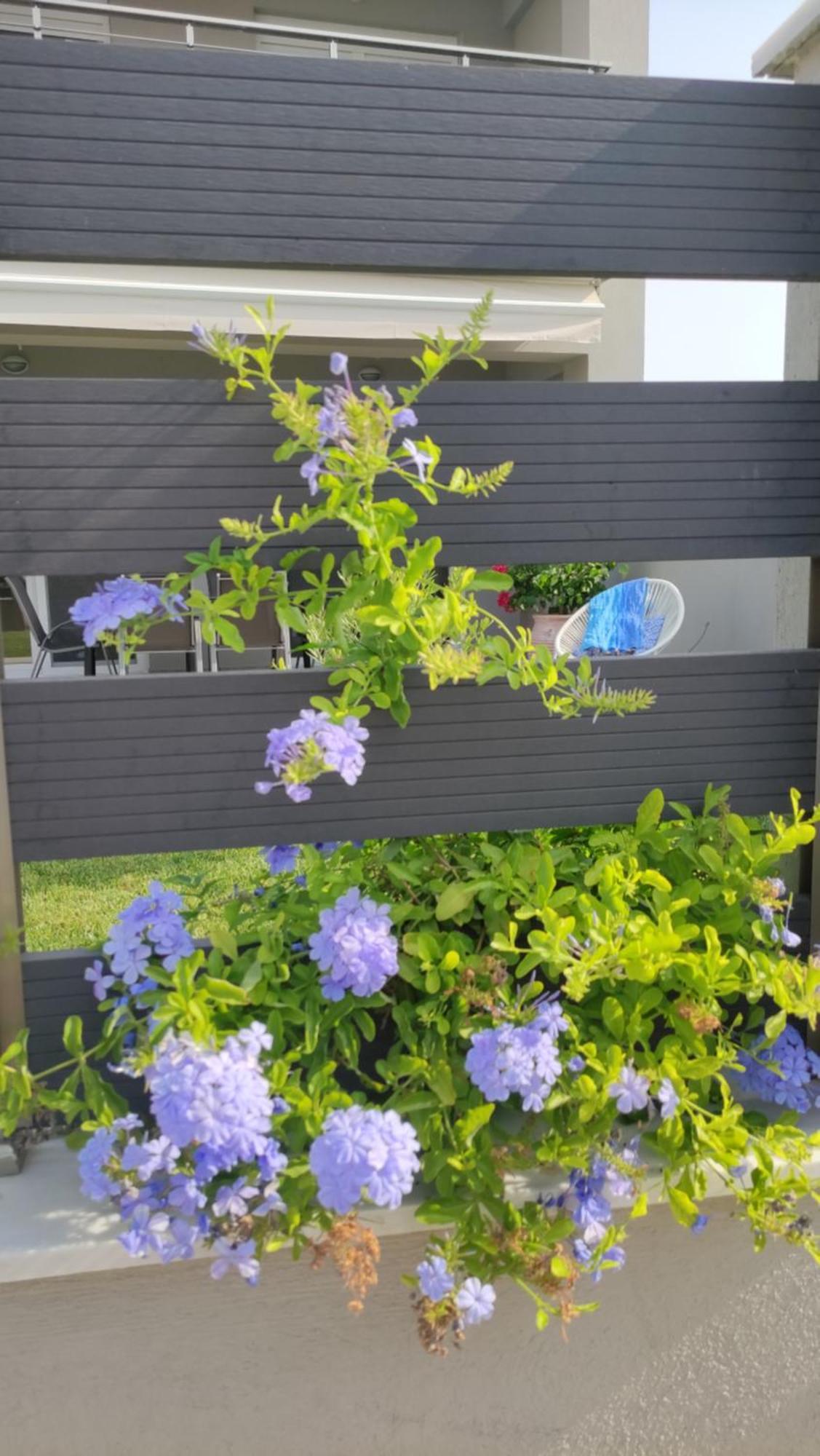 To Helidoni & Gardens Holiday home *